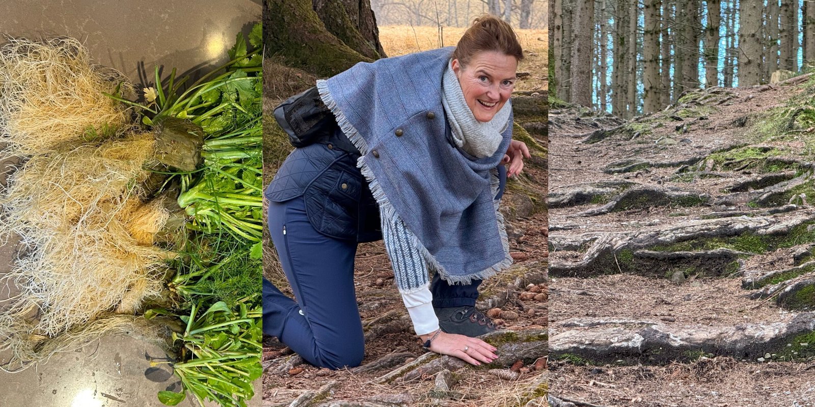 Zaadjes opkweken voor stevige wortels